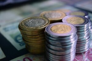 Capital Investment