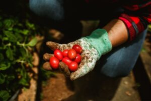 organic farming supplies