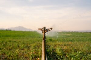 irrigation system