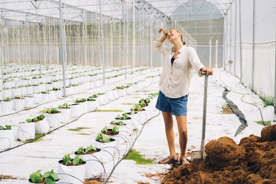aquaponics kit