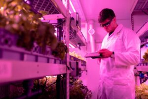 vertical farming technology