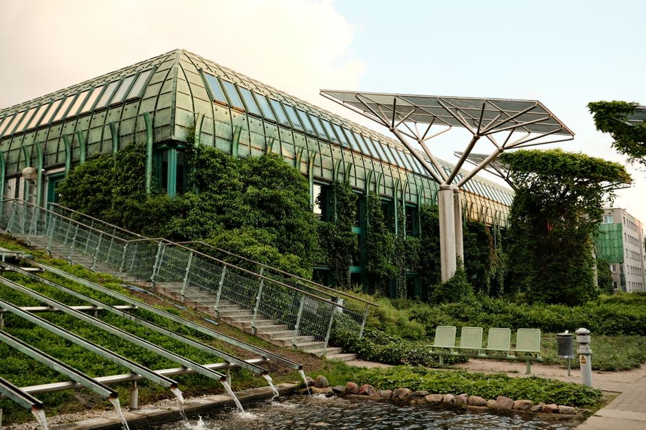 sustainable architecture firm